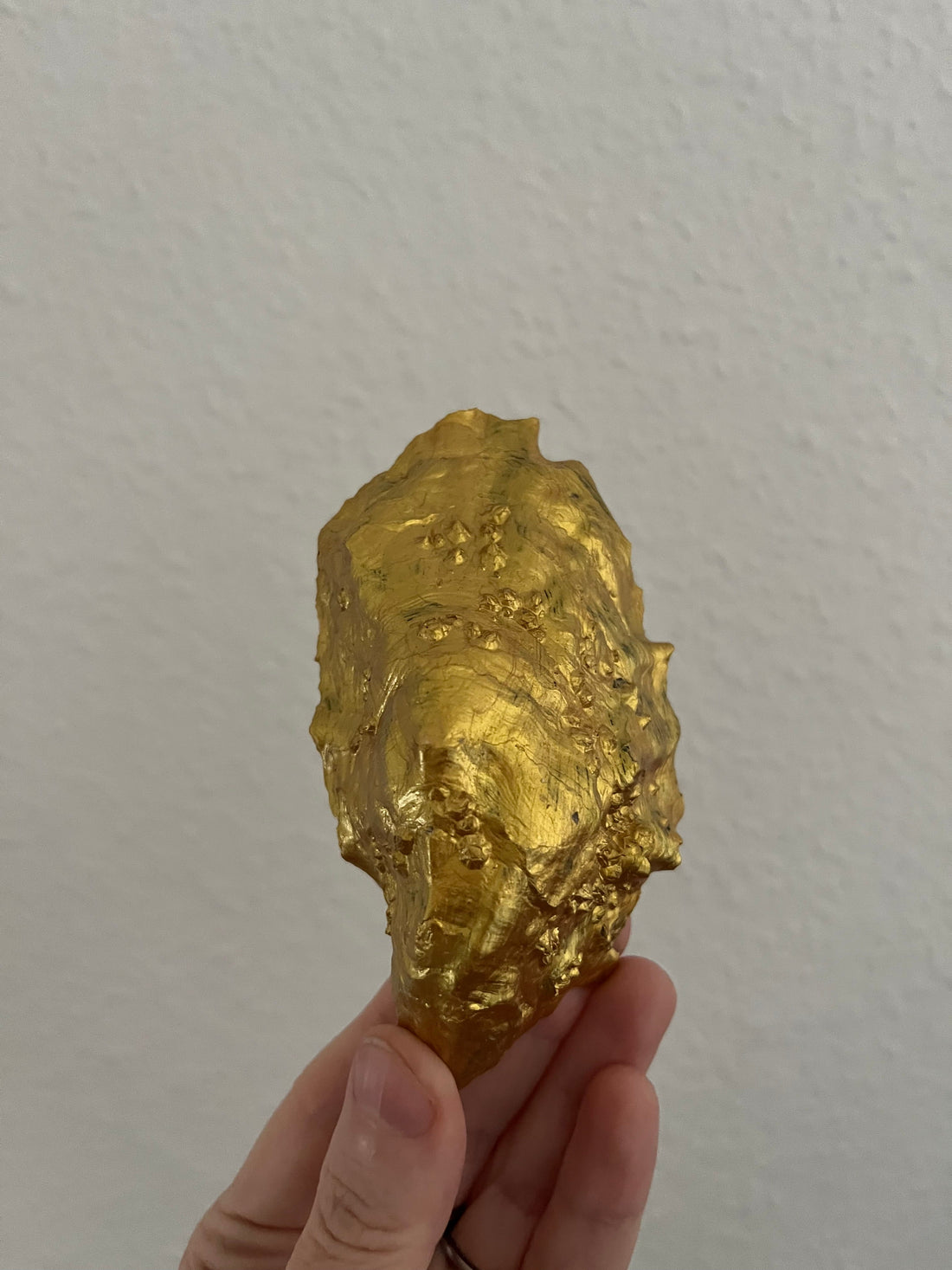 golden oysters, zinc, and why my oyster era is coming back better than ever