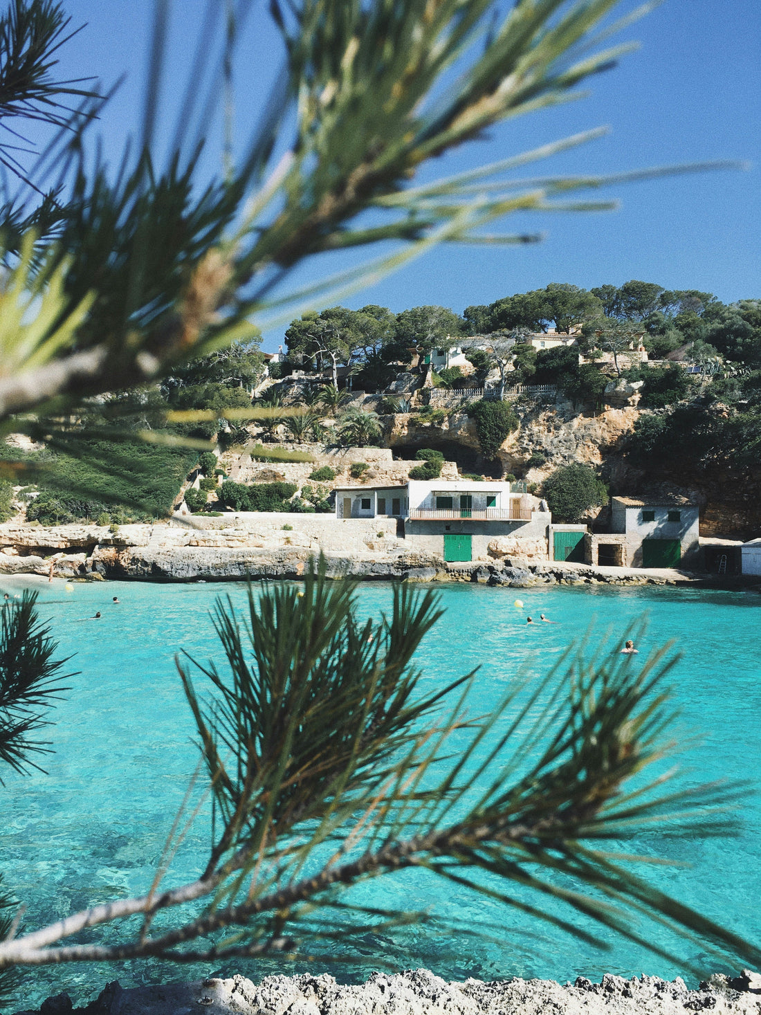 Mediterranean view with turquoise water and pine trees — Joyful Objects blog