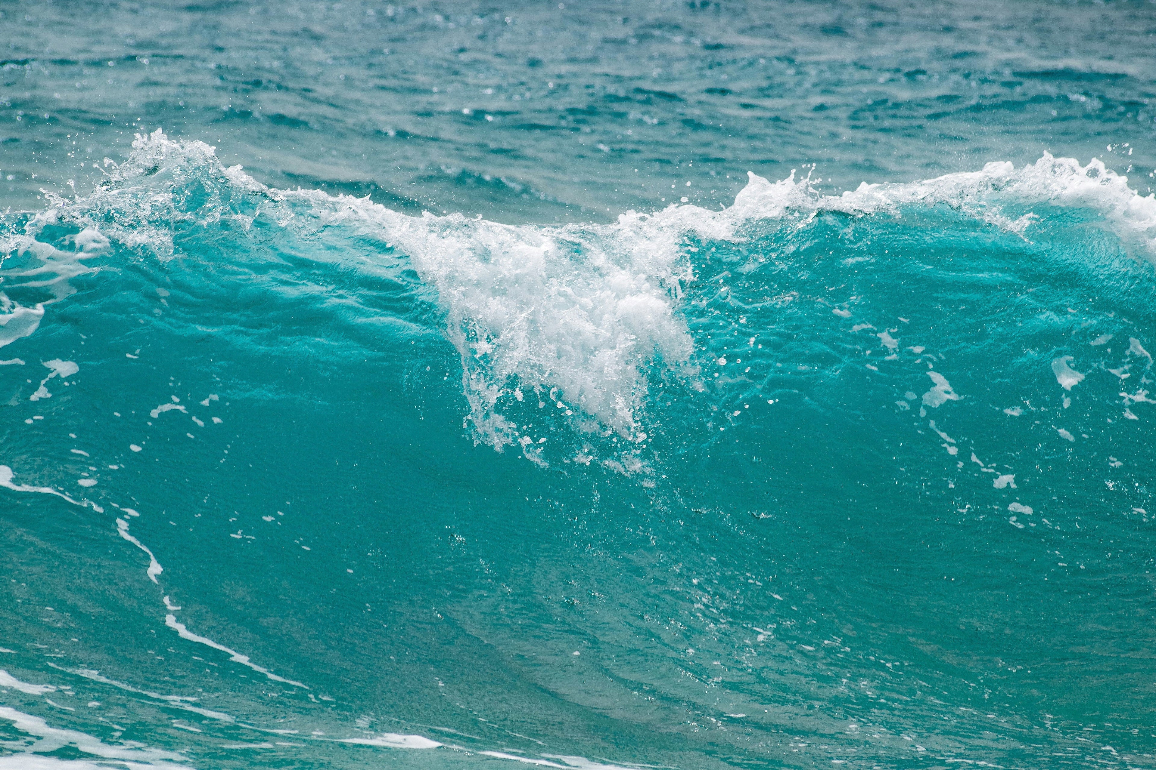 how I am healing my jaw, my fascia, and my nervous system after a decade of stress
