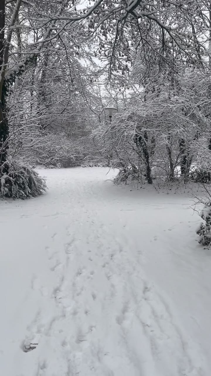 Snow in Winter. Mediterranean Next Winter. Obviously.